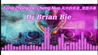 Feng Zhong De Cheng Nuo 風中的承諾 Remix by Dj Brian Bie