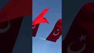 Türküm Doğruyum Çalışkanım