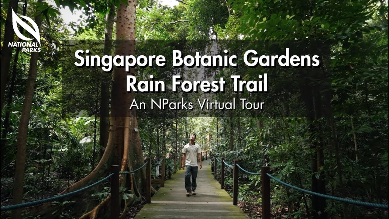 rainforest tour singapore botanic gardens