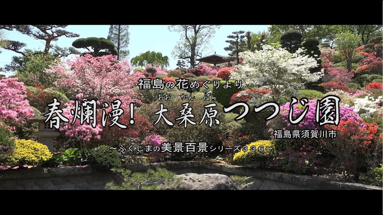 福島の花めぐりより 福島市上野寺 あづまの舞姫 祭田の藤 Youtube