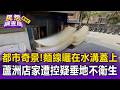 麵線曬在水溝蓋上！蘆洲店家遭控疑垂地不衛生 親友澄清：已無對外銷售【民怨調查局】