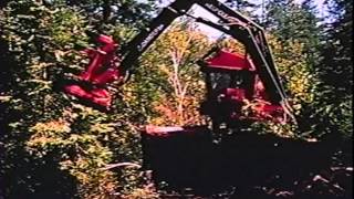 Lessons From the Ancient Forest (full) Lessons From the Ancient Forest (full)