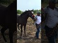 #somoscarrilesdelazona