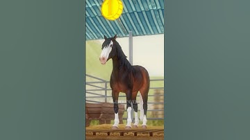 The bazaar is keeping me on my toes  👀 #sso #starstable #starstableonline #horse #shorts #ssohorses