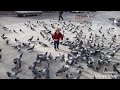 وئل جسار  لانك ابني
