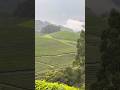 Mini Vlog Munnar Travel Vlog ✨ Kerala Tea Gardens &amp; Waterfalls 😍