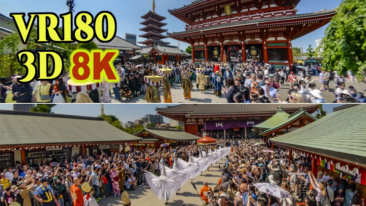 [ 8K 3D VR180 ] 浅草 三社祭（浅草神社例大祭） 「大行列」2026（令和8年）