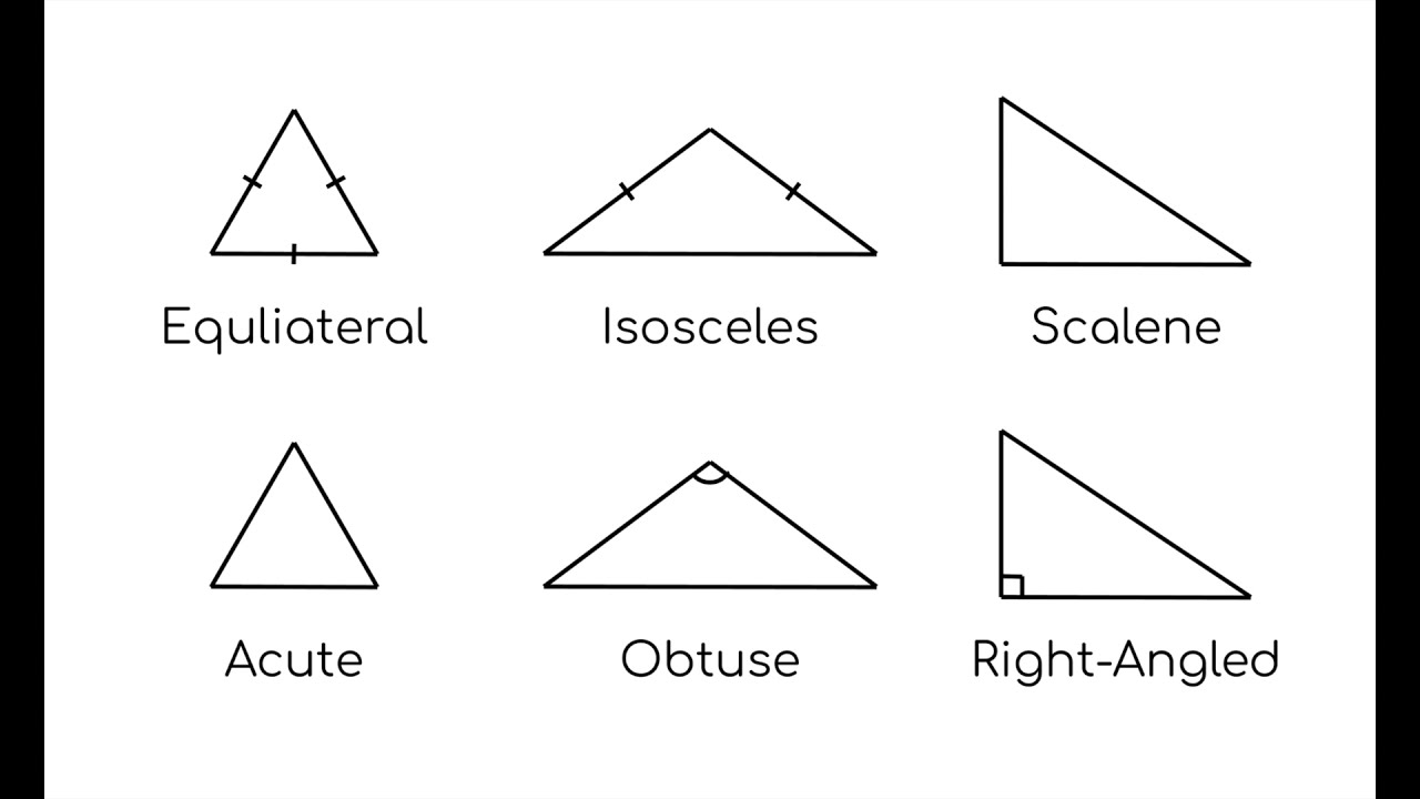 All the Different Types of Triangles EXPLAINED