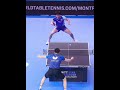 张本salc:版面大,防反之王,一个让人又爱又恨的板子 #tabletennis #pingpong