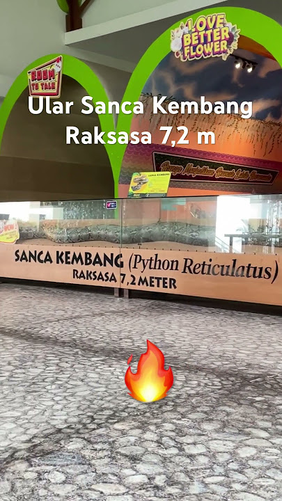 MUSEUM SATWA MALANG ADA ULAR RAKSASA 🔥😲