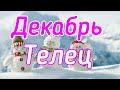 ТЕЛЕЦ. ДЕКАБРЬ 2019. ТАРО-ПРОГНОЗ.