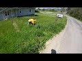 Mowing Tall Thick Grass