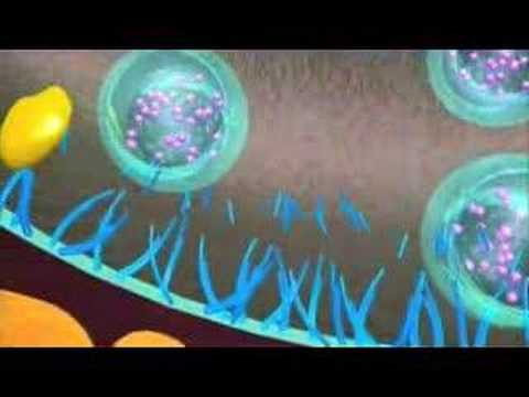 Bladder and prostate injection- Botox | Doovi