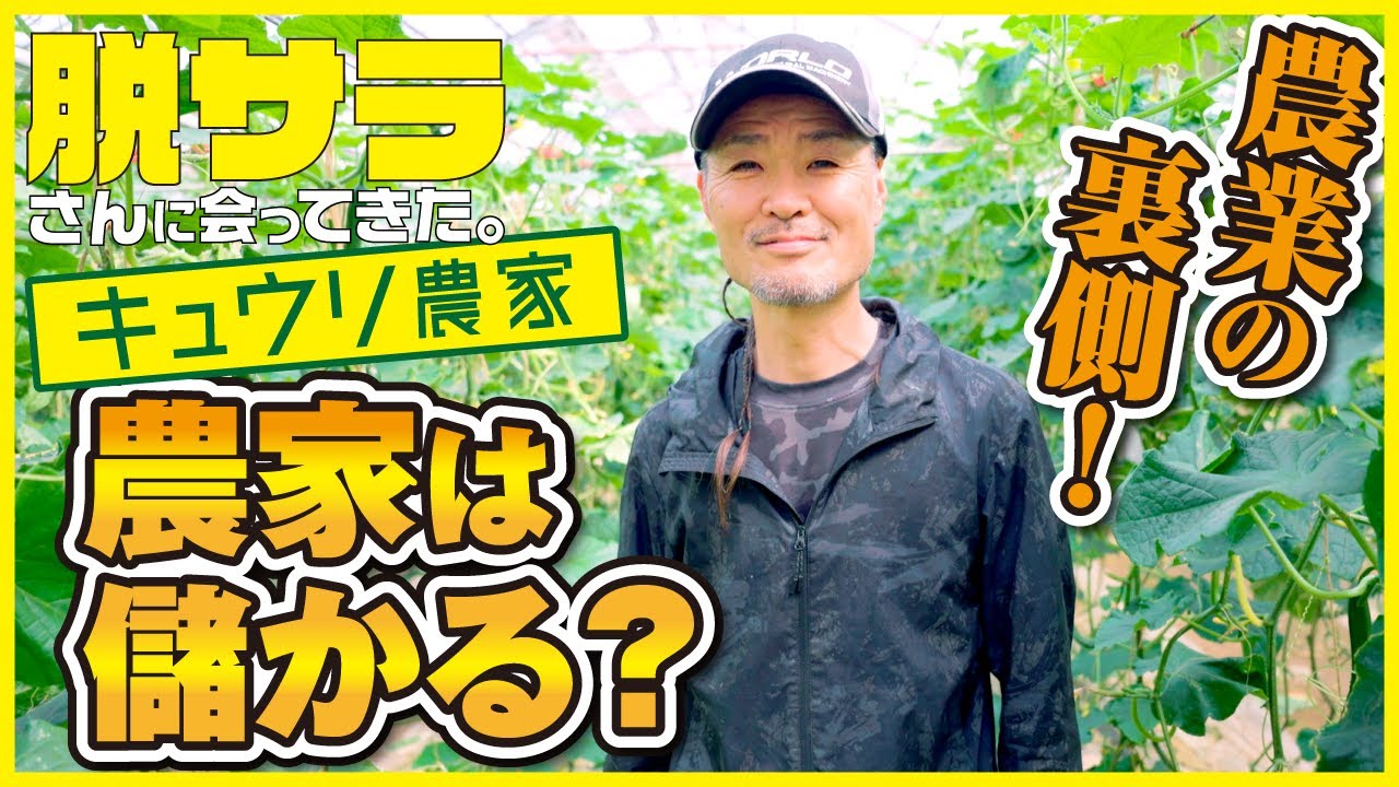 【日本一のキュウリ】 未経験から45歳で脱サラキュウリ農家に！ お金事情から、苦労話まで農業のリアルを徹底インタビュー　＃ドキュメンタリー