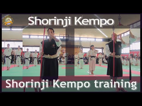 達磨杖　禅杖　拐　牛角杖　僧杖　少林拳 O1CN01zDtkph1sMvRnBPf5k_!!