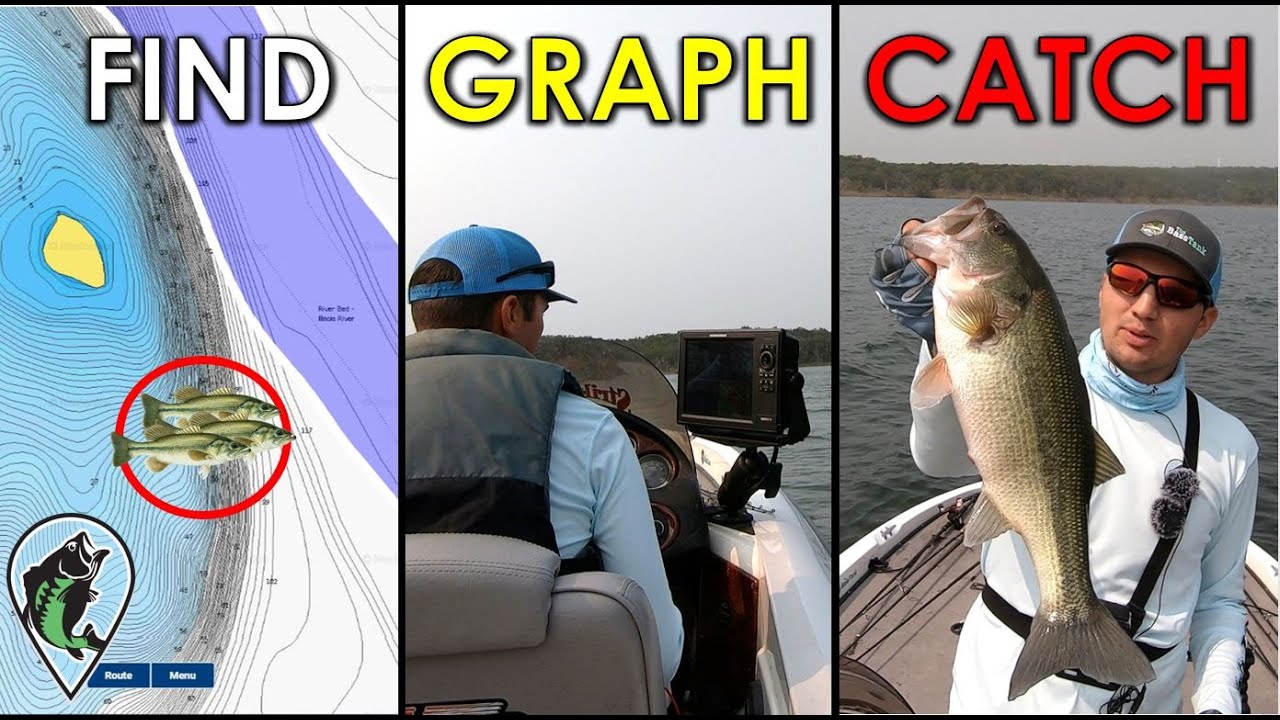 Learning Plans — Fish the Moment