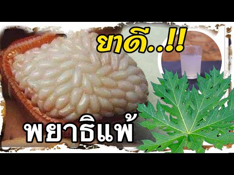 แค่ดื่ม1แก้ว!! พยาธิตายเกลี้ยงพุง พยาธิตัวตืด ท้องผูกถ่ายออกง่าย  วิธีกำจัดพยาธิด้วยสมุนไพร