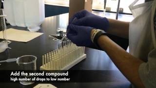 Formula of an Ionic Compound lab