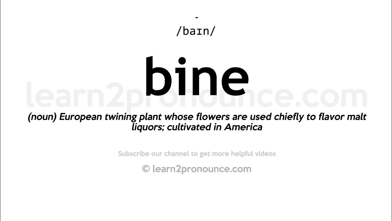 How to pronounce Bine English pronunciation YouTube