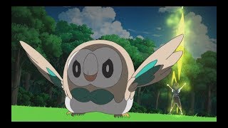 Pokemon Sun & Moon | Rowlet uses 