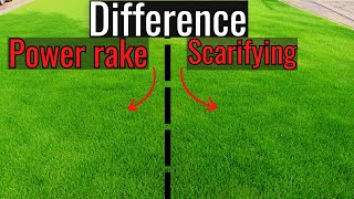Power rake vs Scarifying results after renovation!