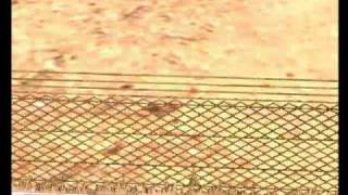 Motogp 3 Extreme, Slippy Sam jumping the fence at Outback