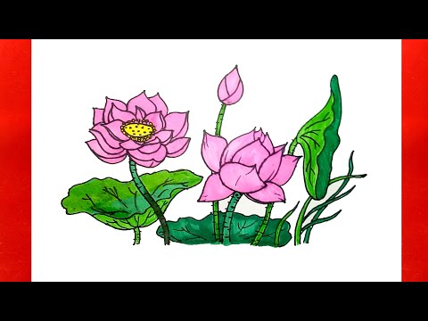 Cách vẽ hoa sen đơn giản nhất l How to draw Lotus flower step by step   YouTube