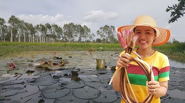 water lily soup - yummy water lily sour soup cooking - water lily sour soup - cooking with sros