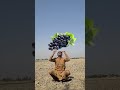 Alf ba ta vfx viral video #viralvideo #shortsfeed #shorts #viral #vfx #challenge