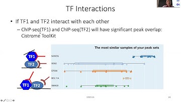 STAT115 Chapter 11.3 TF Interactions from ChIP-seq