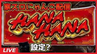 【家スロにゃんこ配信】キングハナハナ‐30「6.5号機」【設定?】 screenshot 5