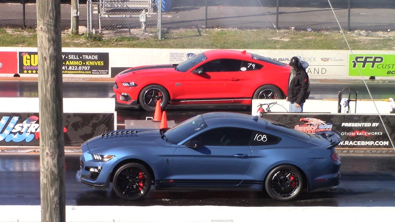 Mach 1 Mustang vs Shelby GT500 Drag Race YouTube