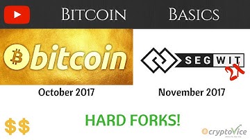 What to do with the Bitcoin Gold (BTG) Fork and the Upcoming Segwit2X (B2X) Fork | Bitcoin Basics
