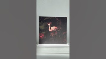 Explore captivating, luxury nature-inspired fine art photography prints and greetings cards.