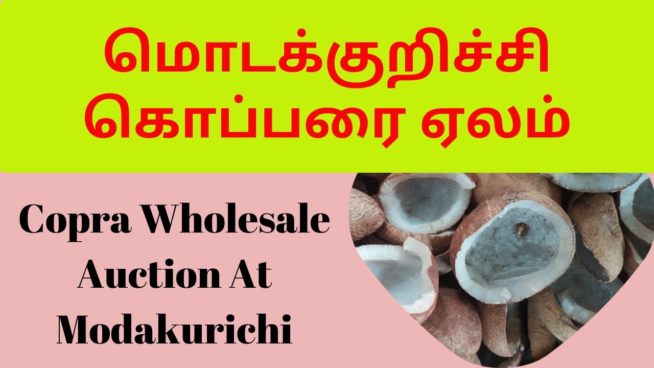 Modakurichi Modakurichi Copra Price | மொடக்குறிச்சி கொப்பரை ஏலம் | Copra Business ...