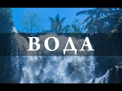 Видео: Вода - забытое питательное вещество