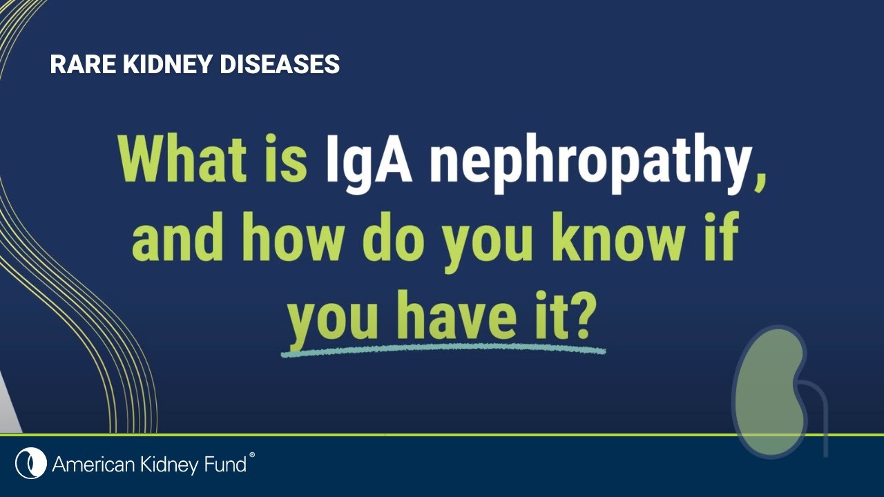 What is IgA nephropathy IgAN  Rare Kidney Disease  American Kidney Fund
