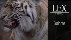 The Walking Dead 8.Sezon 4.Bölüm Shiva'nın Ölümü (HD)