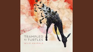 Video thumbnail of "Trampled by Turtles - Ghosts"