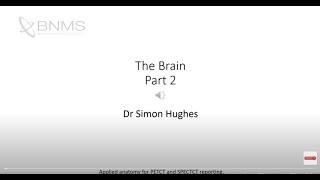 BNMS The Brain - Part 2