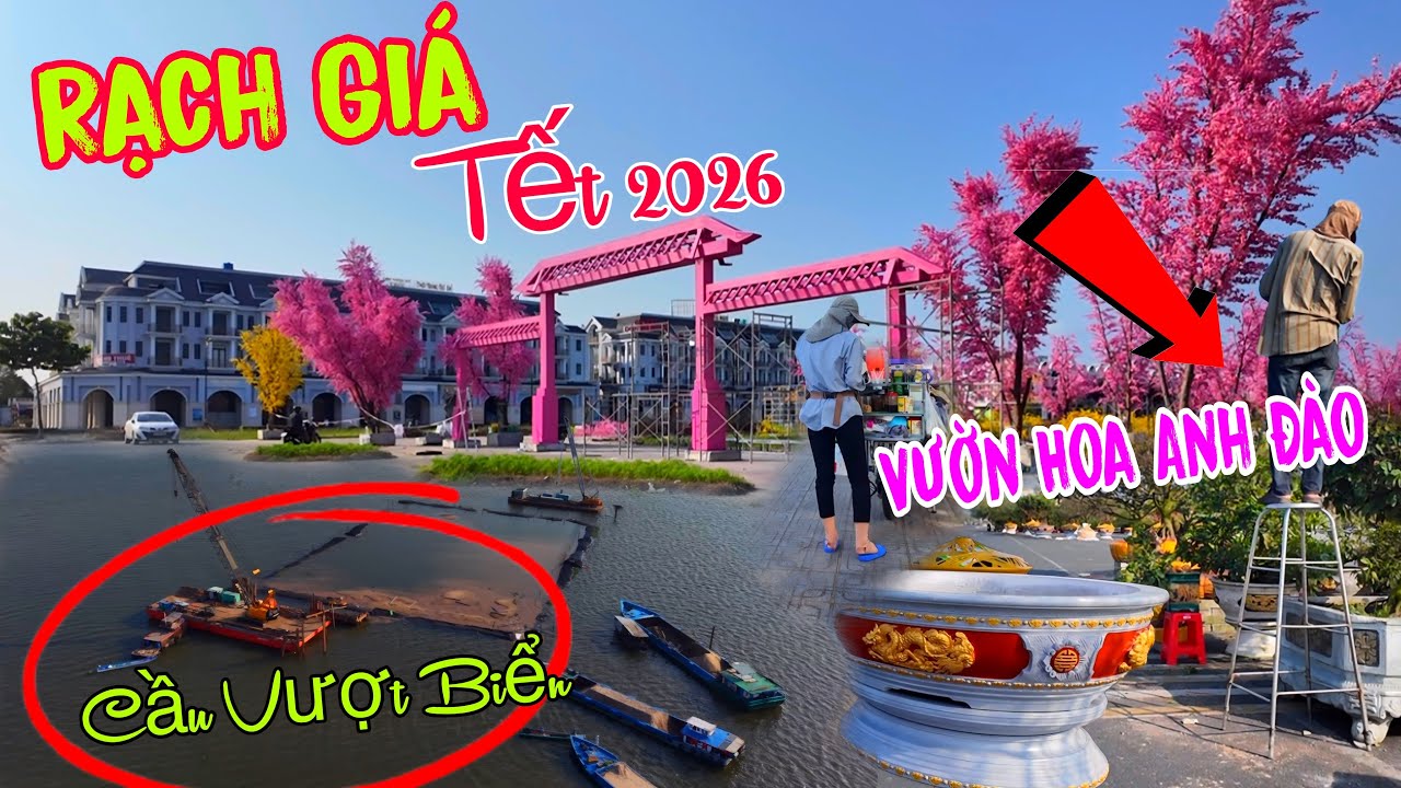 QUÁ BẤT NGỜ - Thành Phố Rạch Giá Lần Đầu Tiên Xuất Hiên Vườn Hoa Anh Đào 