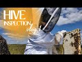 HIve Inspection Vlog1