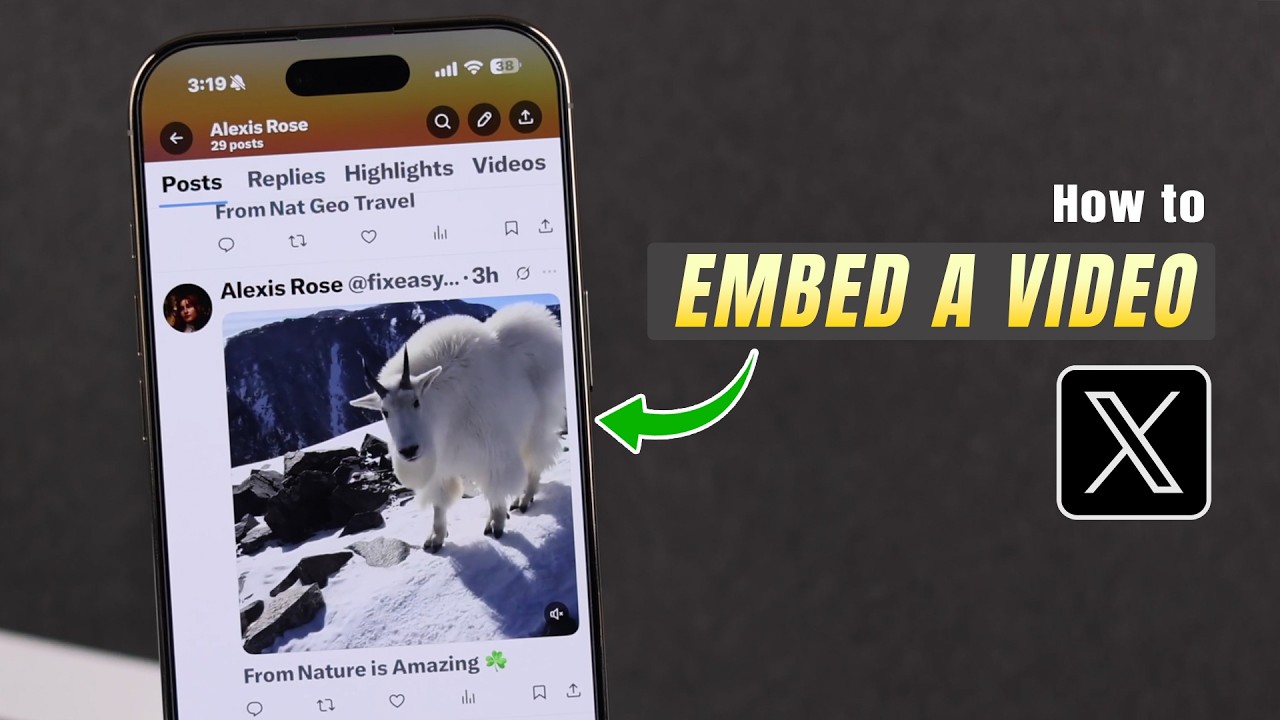 How to Embed a Video on X Twitter! [Without Retweeting] - YouTube