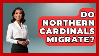 Do Northern Cardinals Migrate? - Exploring Campgrounds