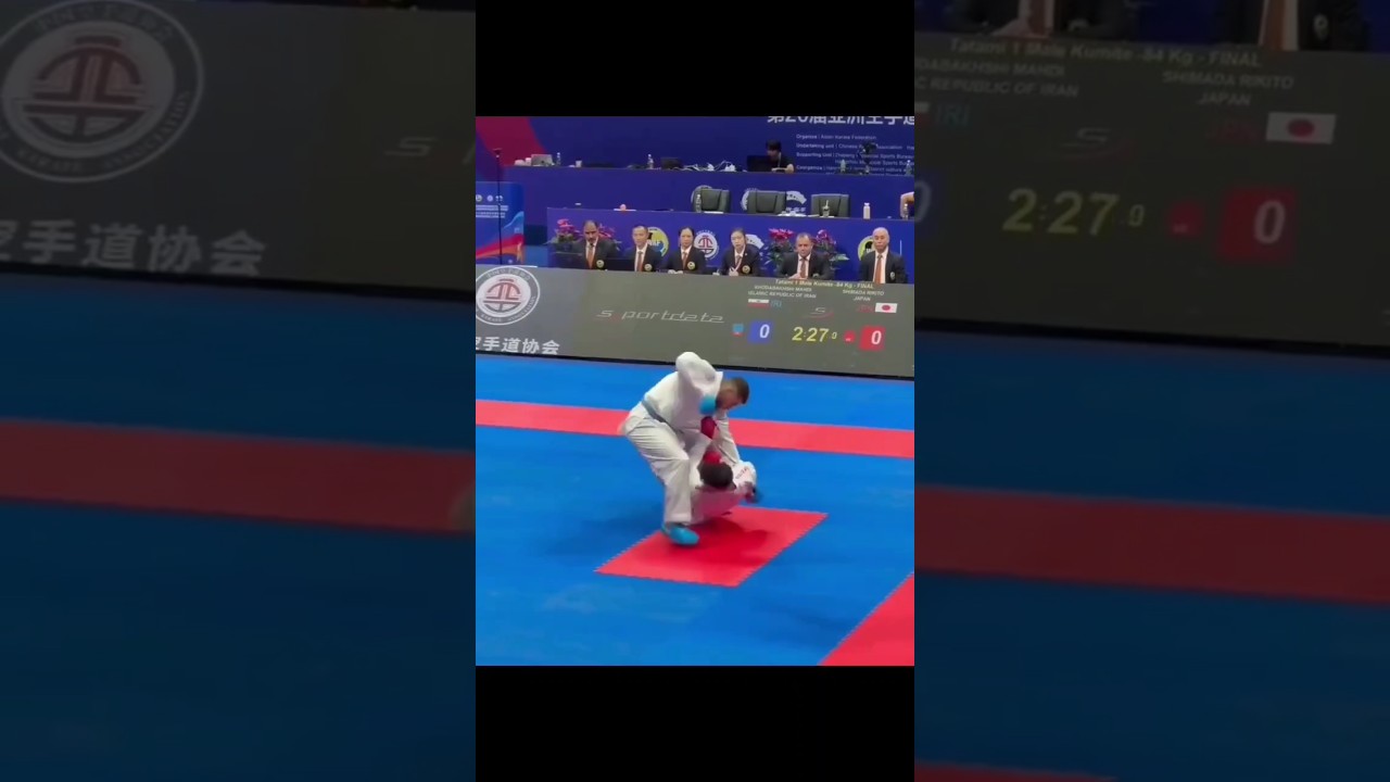 KARATE FIGHTING SKILLS 