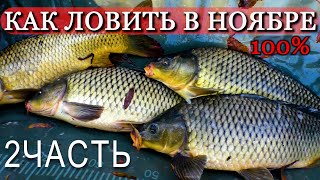 видео: КАК ЛОВИТЬ РЕЧНОГО КАРПА И САЗАНА В НОЯБРЕ . ЛОВЛЯ КАРПА НА РЕКЕ ДНЕСТР ! Лучшая оснастка ! 2 ЧАСТЬ! картинка: КАК ЛОВИТЬ РЕЧНОГО КАРПА И САЗАНА В НОЯБРЕ . ЛОВЛЯ КАРПА НА РЕКЕ ДНЕСТР ! Лучшая оснастка ! 2 ЧАСТЬ!
