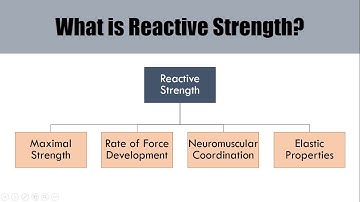 What is Reactive Strength? | The Underlying Qualities