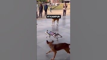 Desi dogs with a desi AI robot. Got to love this viral video from IIT Kanpur #roboticdog #robodog