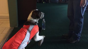 Lesson 6 Exercise 6.1 