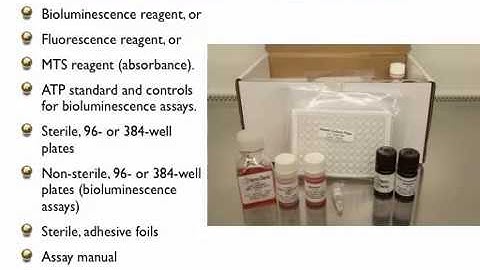 Cell Culture for HemoGenix / Preferred Cell Systems Proliferation Assays